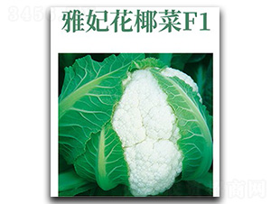 ������Ҭ��-��Ҭ�˷N��-���d