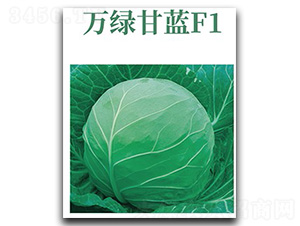 �f�G���{-���{�N��-���d