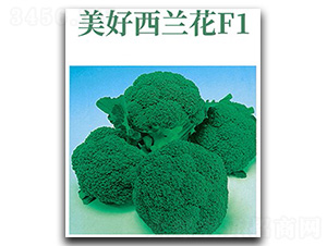 �������m��-���m���N��-���d