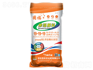 �������19-19-19-�ٺ��S