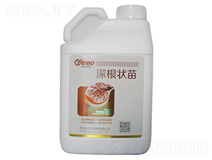 �������_ʩ��-΢������