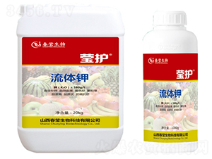 ���w�-���o-��������