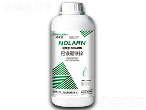 �}�V���F�\-�Z�R��