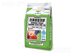 ���S���ᵪ��-�º���