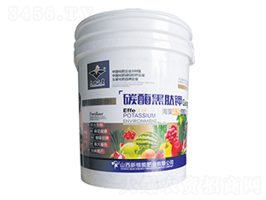 ̼ø�����-�º���