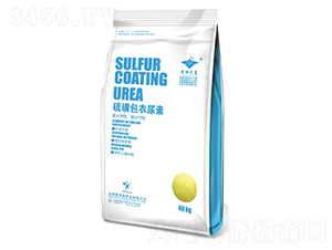 ��ǰ�������-�º���