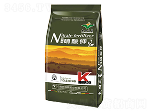 �����-�º���