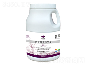 ���140-70-320+TE-�º���