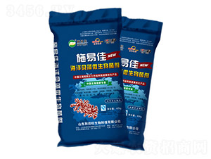 ����ؐ��΢�������-����������