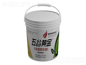 ����S��-��s���AҺ