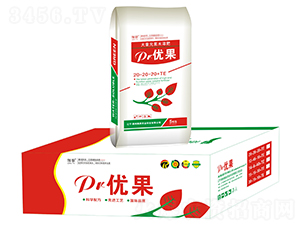 PR��(y��u)��-�i��(r��n)�r(n��ng)�I(y��)