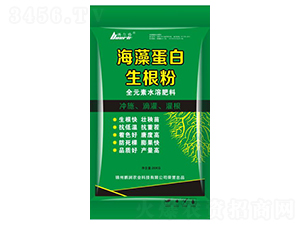 ���嵰��������-�i��(r��n)�r(n��ng)�I(y��)