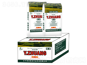 Y.ZHUANG��(y��u)��-�i��(r��n)�r(n��ng)�I(y��)