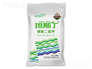 ̹˹����������-㑝�����