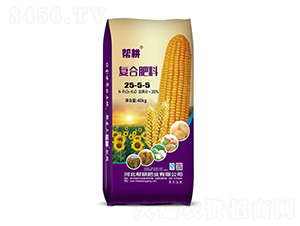 ��(f��)�����25-5-5-�͸��ʘI(y��)