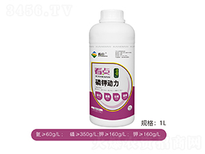 ��⛄���-���c