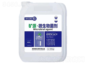 �VԴ��΢����������������磩-�Ϙ��˹�Z