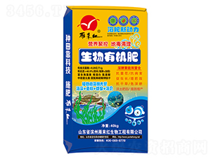 �����ЙC(j��)��-��������-����t