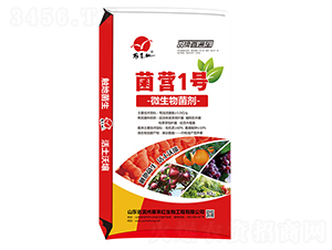 ΢�������-���I(y��ng)1̖(h��o)-���(l��i)�t