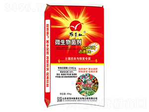 ���������c�ޏ�(f��)����-΢�������-����t