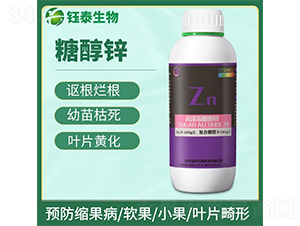 �ߝ�s�Ǵ��\-�̩����