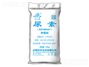 ���w������-���S