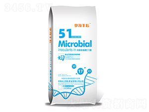 ��(f��)��΢�����-����ȫ���1��-�к����ʘI(y��)