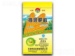 һ����׷�������28-8-6-�ѷ���