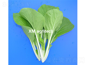 ����С�ײ�-С�ײ˷N��-���r(n��ng)�r(n��ng)�I(y��)