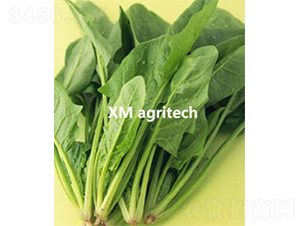 �G��-���˷N��-���r(n��ng)�r(n��ng)�I(y��)