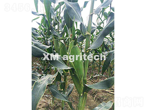 ̩��һ̖(h��o)-�����׷N��-���r(n��ng)�r(n��ng)�I(y��)