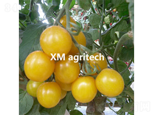 ��M-���ҷ��ѷN��-���r(n��ng)�r(n��ng)�I(y��)