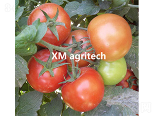 ����106-���ѷN��-���r(n��ng)�r(n��ng)�I(y��)