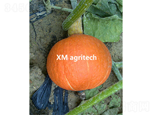 �_(t��i)���t��-�ϹϷN��-���r(n��ng)�r(n��ng)�I(y��)