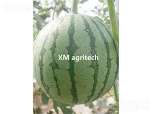 ���A-���ϷN��-���r(n��ng)�r(n��ng)�I(y��)