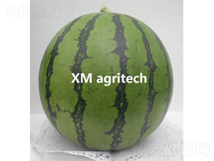 �L(f��ng)��-���ϷN��-���r(n��ng)�r(n��ng)�I(y��)