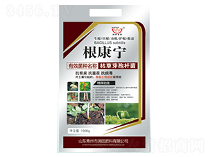 �ݲ�ѿ�ߗU��-������-�������