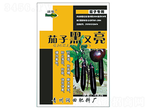 ���Ӻ�����-�������