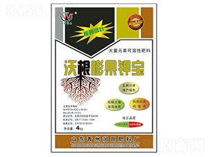 �ָ����⛌�-�������