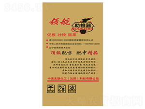 �I(l��ng)��������-�������