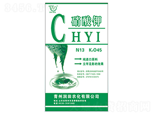 �����-�������