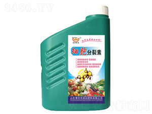 ��(x��)��������-������� 