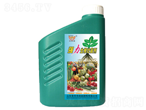 ��(qi��ng)���������焩-�������