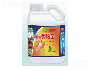 ��������}��-�������