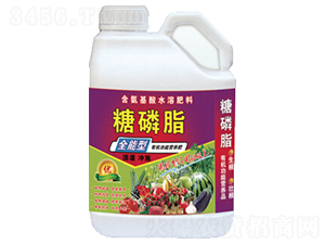 ����֬-�������