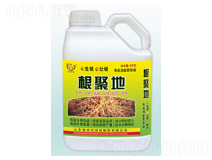 ����(j��)�؛_ʩ��-�������