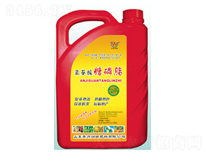 ����������֬-��(r��n)�����