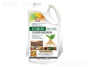 ���ز�-�����B(y��ng)������-��(r��n)�����