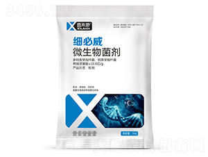 ΢�������-��(x��)����-ϲ����