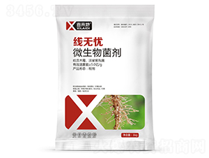 ΢�������-���o�n-ϲ����